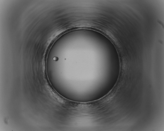 X0000103470840200809121626