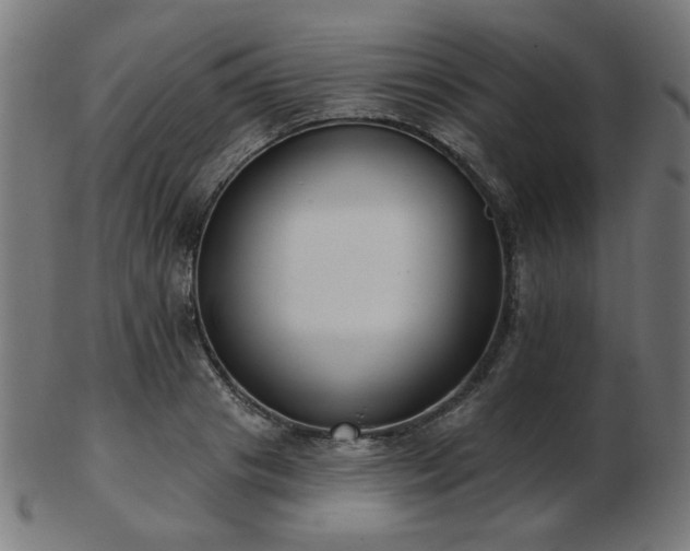 X0000103470841200809121626