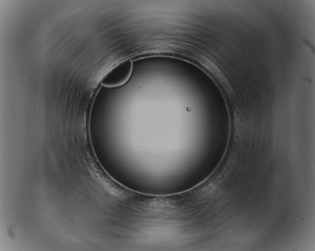 X0000103470842200809121626