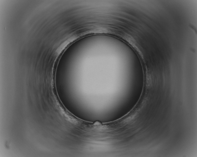 X0000103470845200809121626