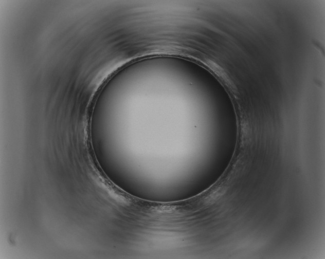 X0000103470846200809121626