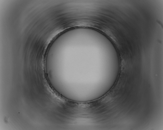 X0000103470848200809121626