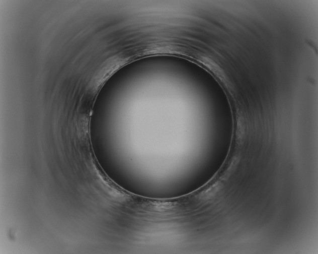 X0000103470849200809121626