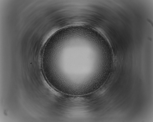 X0000103470851200809121626