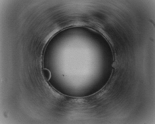 X0000103470853200809121626