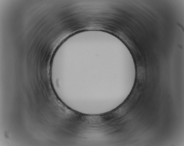 X0000103470856200809121626