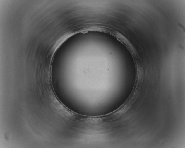 X0000103470860200809121627