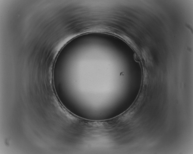 X0000103470862200809121627