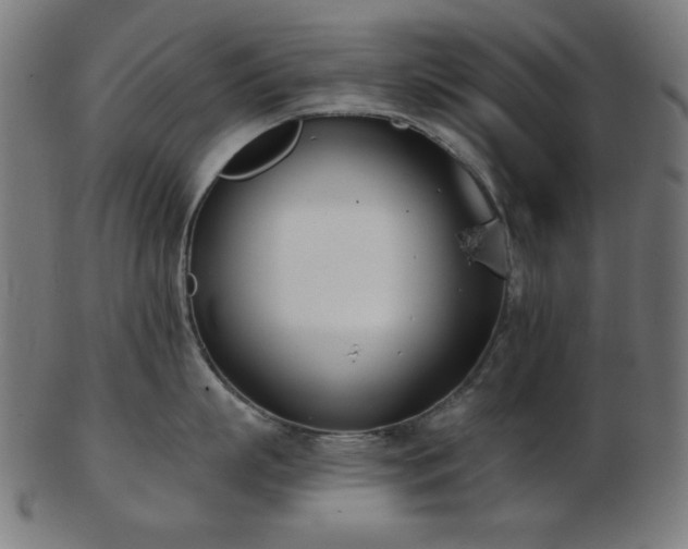 X0000103470863200809121627