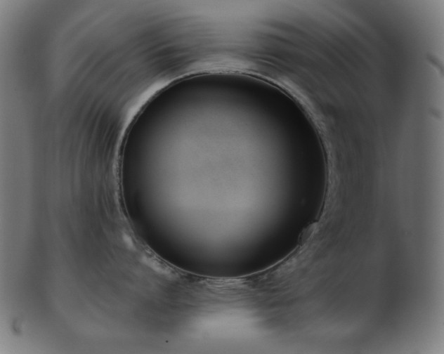 X0000103470864200809121627