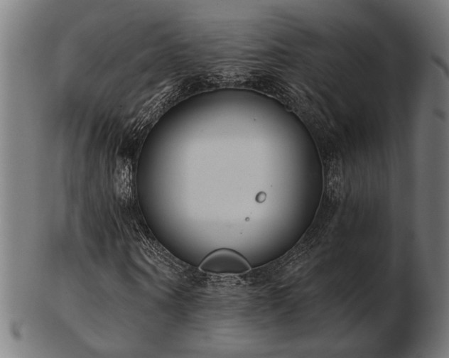 X0000103470866200809121626