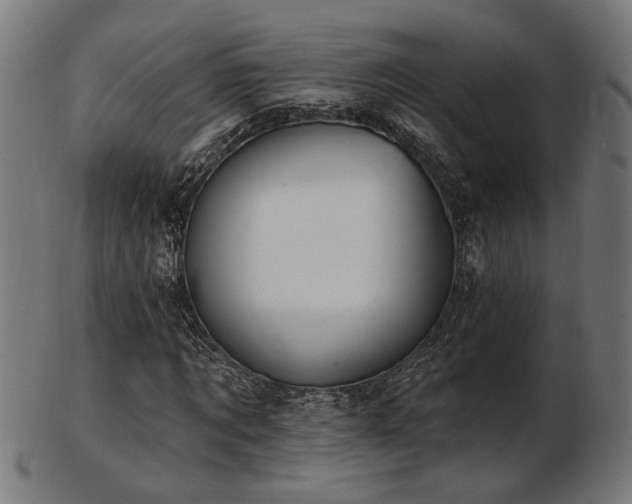 X0000103470869200809121626