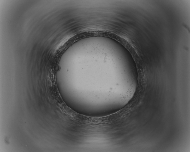 X0000103470871200809121626