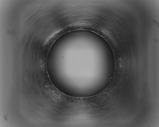 X0000103470872200809121626