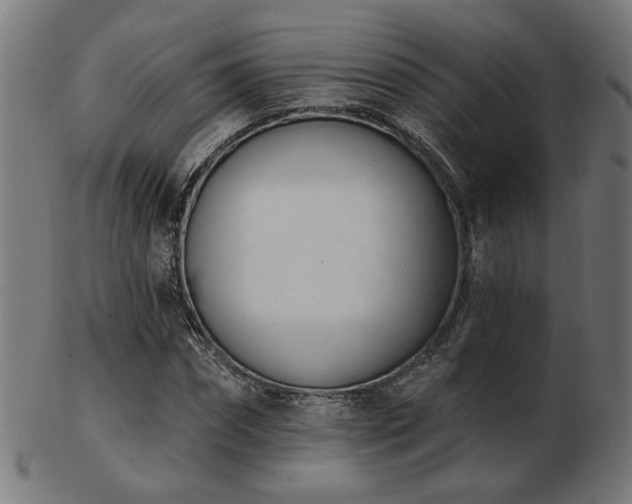 X0000103470874200809121626