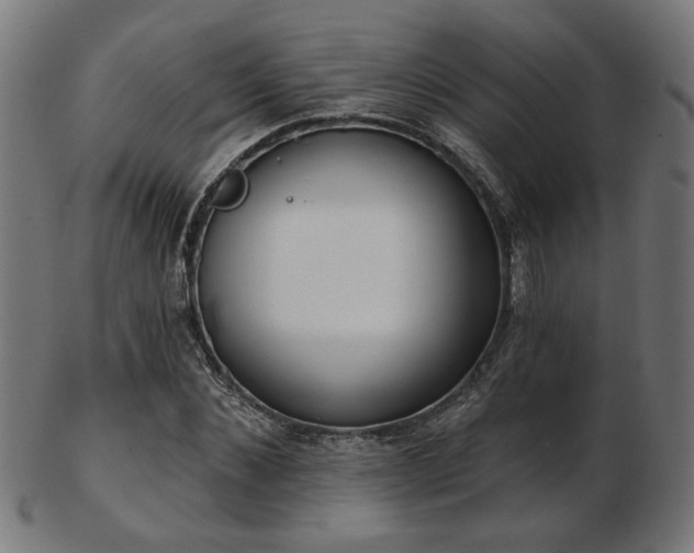 X0000103470876200809121626