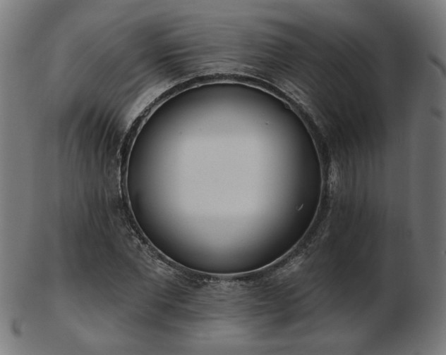 X0000103470877200809121626