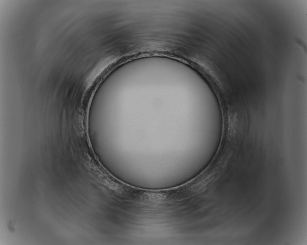 X0000103470878200809121626