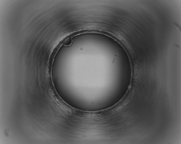 X0000103470880200809121626