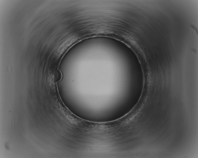 X0000103470881200809121626