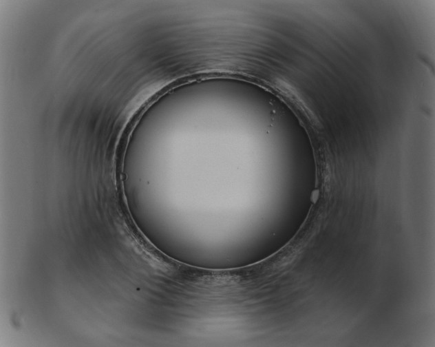 X0000103470884200809121626