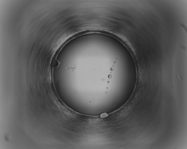 X0000103470887200809121626