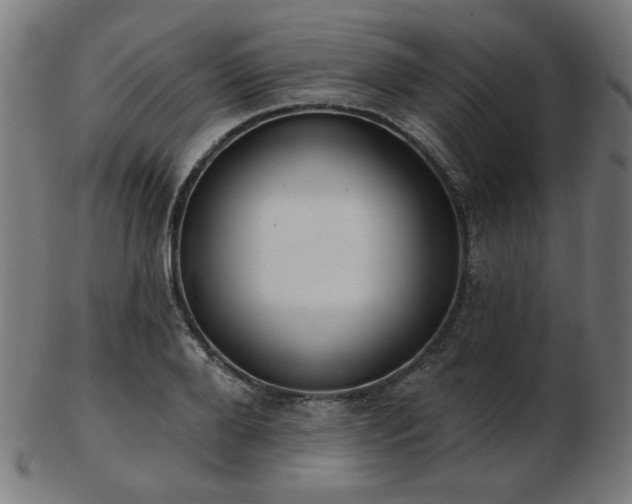 X0000103470888200809121626