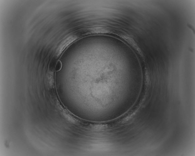 X0000103470889200809121626