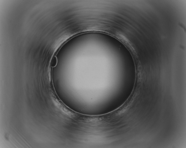 X0000103470892200809121626