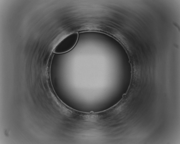 X0000103470893200809121626