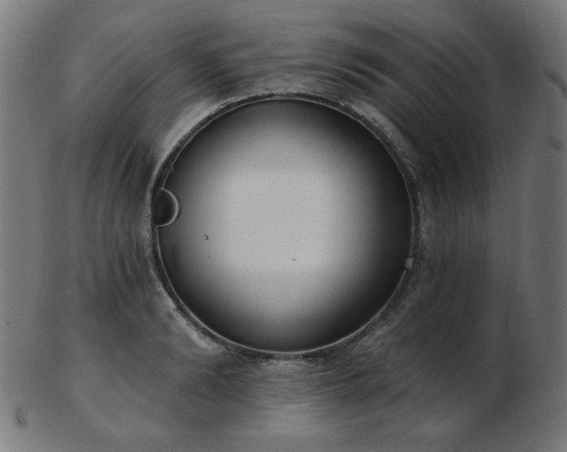 X0000103470894200809121626