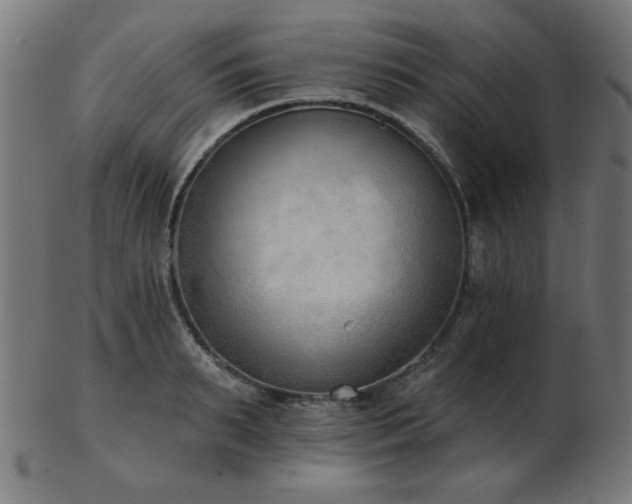 X0000103470895200809121626