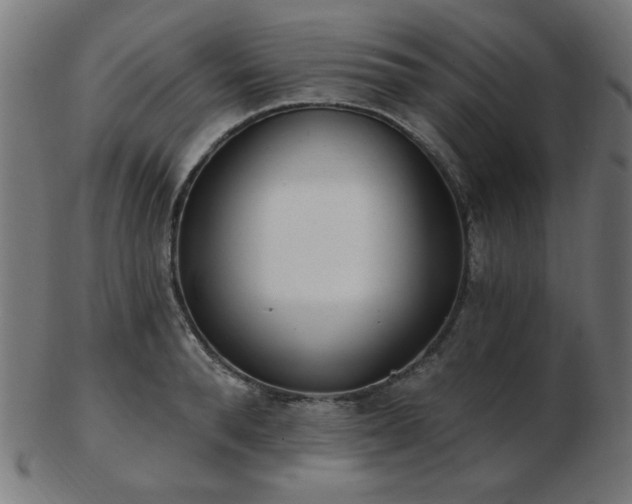 X0000103470896200809121625