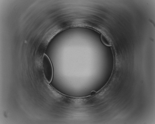 X0000103470897200809121625