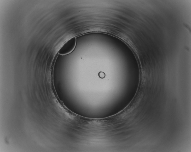 X0000103470898200809121625