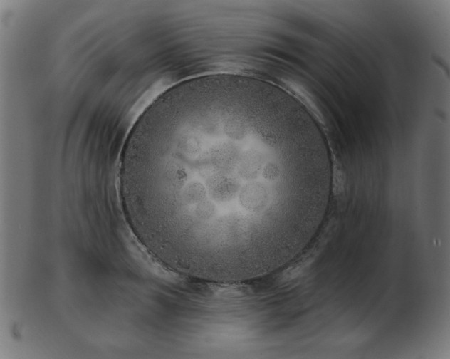 X0000103470899200809121625