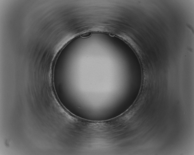 X0000103470902200809121625