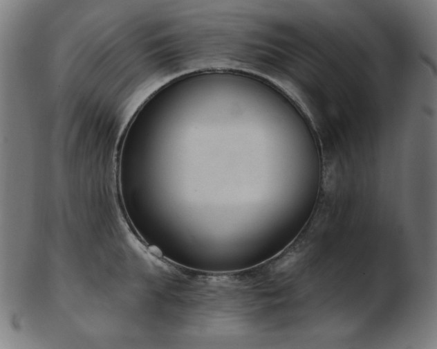 X0000103470903200809121625