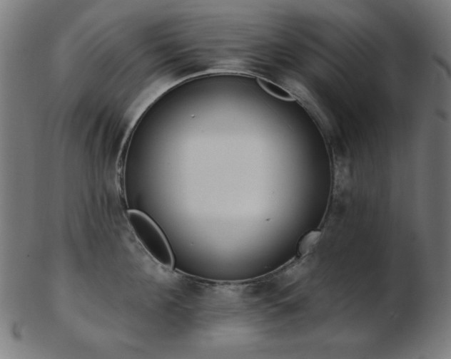 X0000103470908200809121625