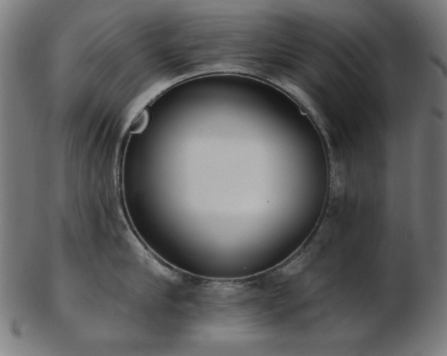 X0000103470910200809121625