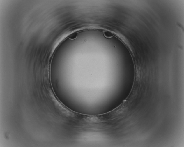 X0000103470911200809121625