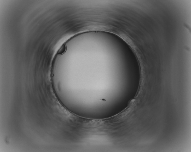 X0000103470912200809121625