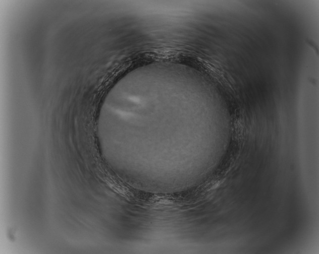 X0000103470913200809121625