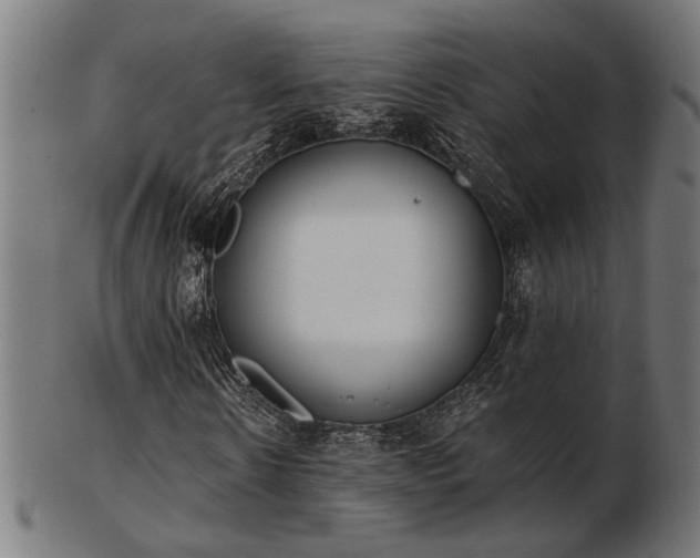 X0000103470914200809121625