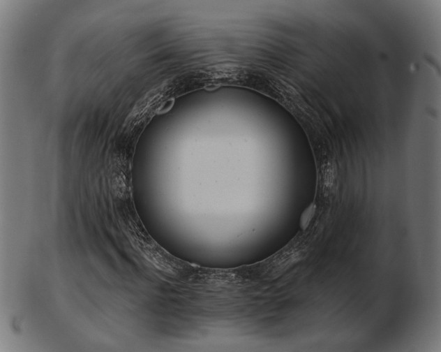 X0000103470916200809121625