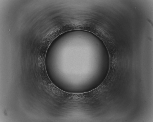 X0000103470917200809121625