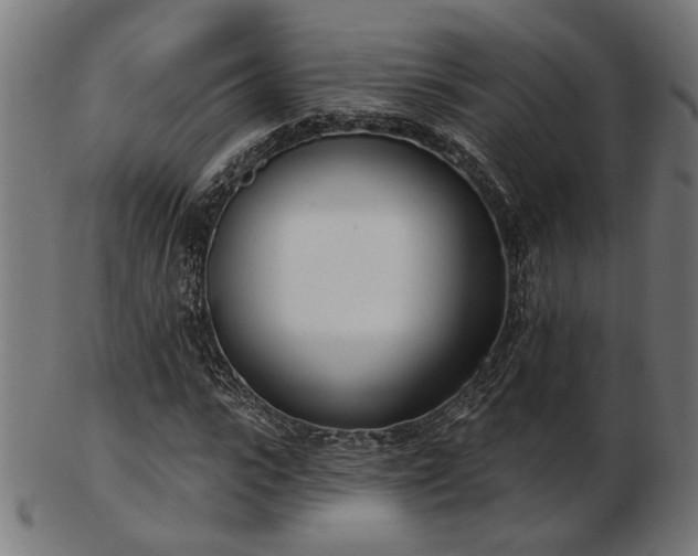 X0000103470919200809121625