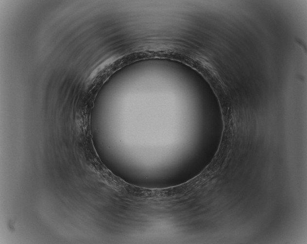 X0000103470920200809121625