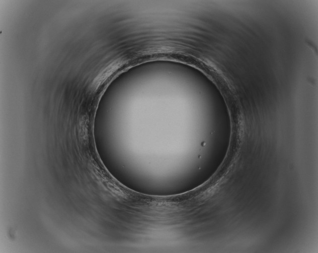 X0000103470921200809121625