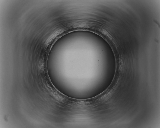 X0000103470922200809121625